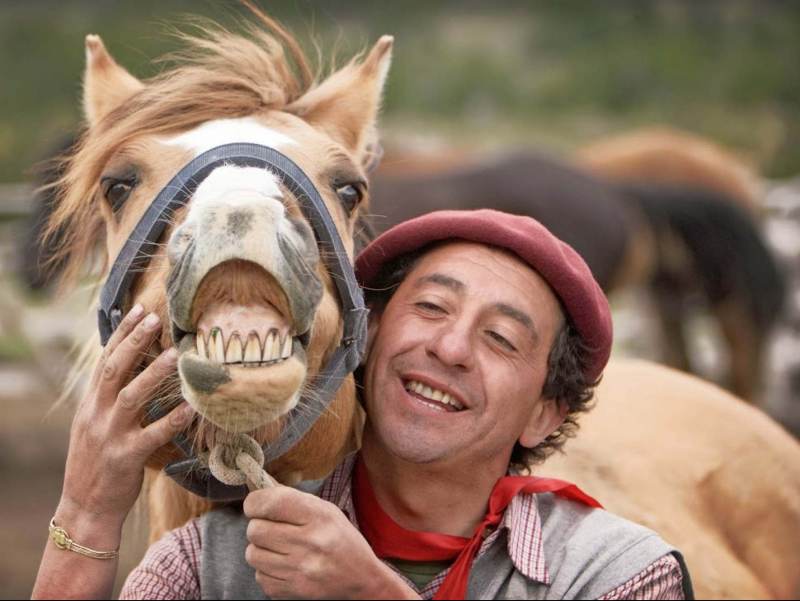 Een paard met een zichtbaar gebit en een man
