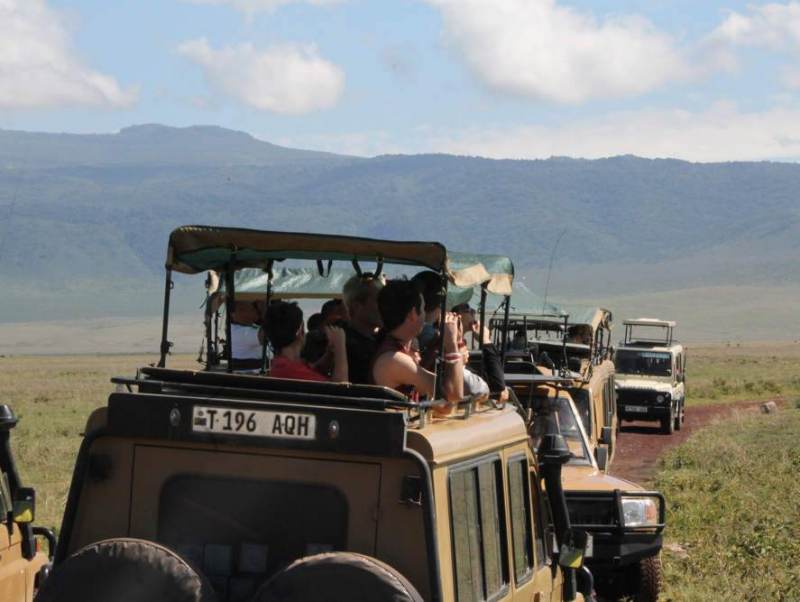 Tijdens uw rondreis door Tanzania kunt u op safari gaan.