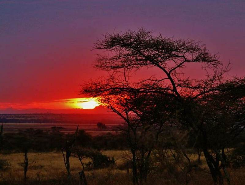 De zonsondergang is prachtig in Tanzania en is zeker de moeite waard om te bekijken tijdens uw rondreis.